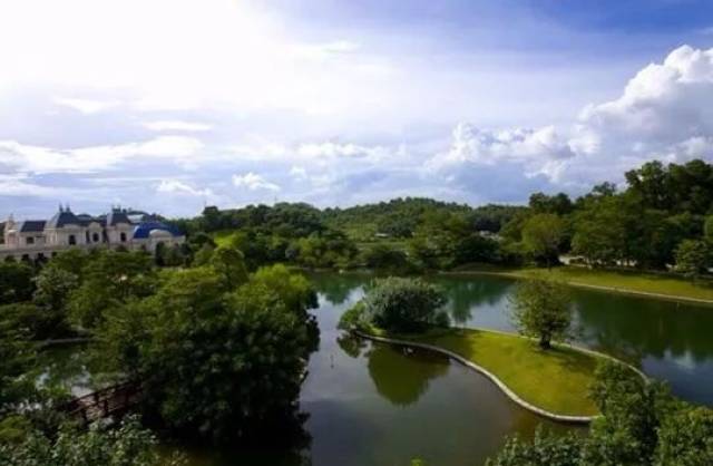 新围山嘴头,观澜牛湖入选城市更新计划!