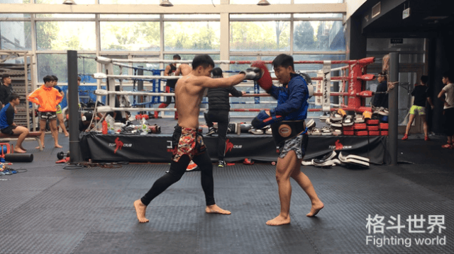 香港拳王罗祖胜:这条金腰带我势在必得!-体育频