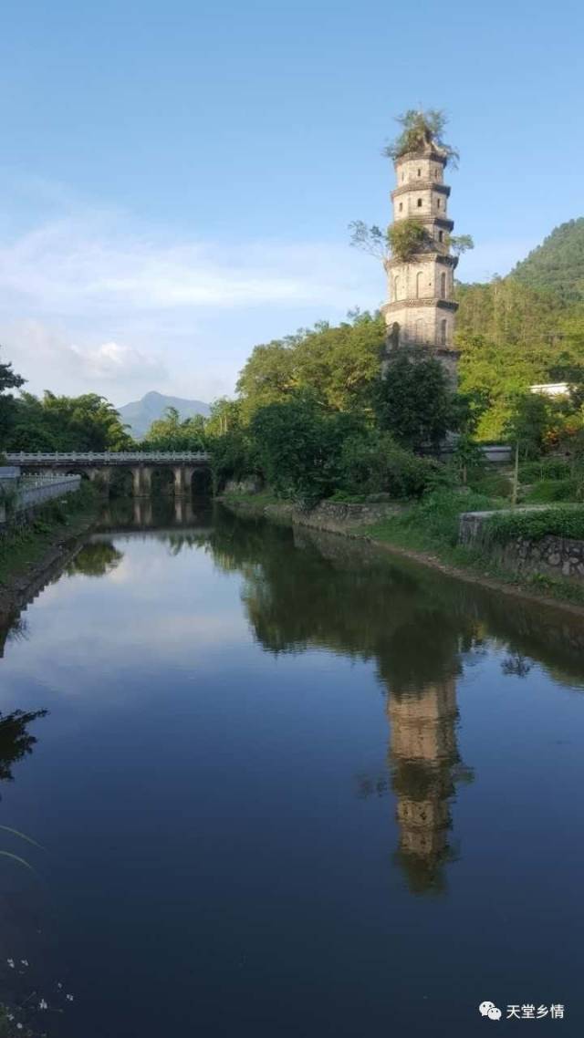 天堂乡情综合整理云浮日报文字信息 刘键 何泗福 图片来源 :天堂镇