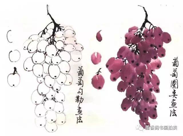 真作　大竹山規 静物画 「葡萄」 国画中最美的葡萄都在这里了！大饱眼福！_搜狐网