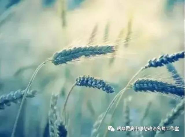 2017年高考政治《经济生活》第一单元试题及