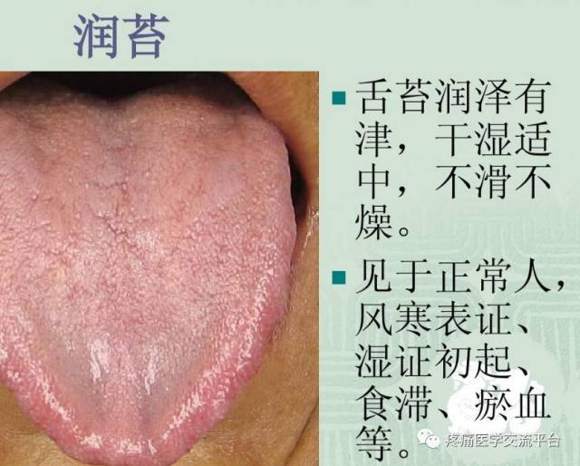 (收藏)中醫舌診圖文