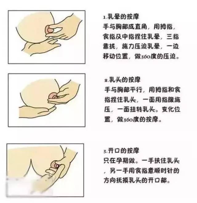 正确的挤奶手法图片