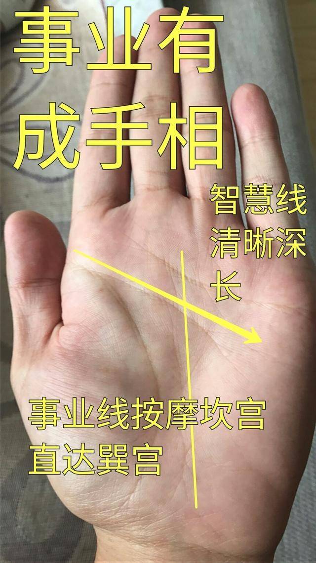 富贵命的手相图片图片