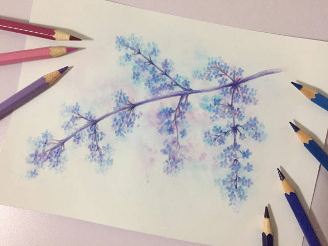 花枝怎么画,花枝简笔画,简笔画花枝古风(第2页)_大山谷图库