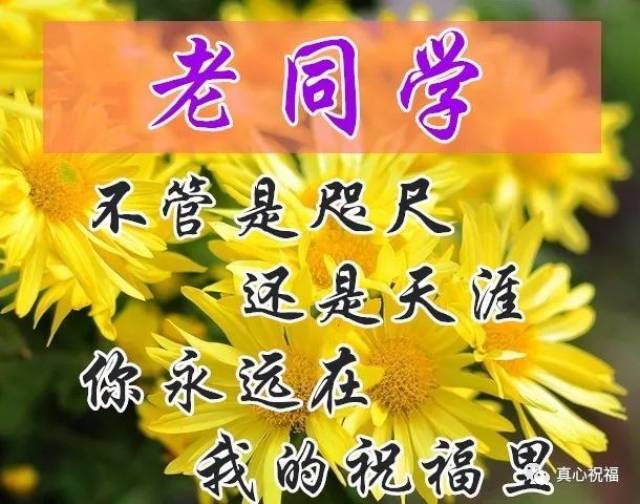 同学群祝福图片大全图片