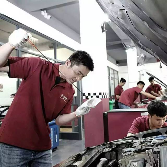 都说兔子不吃窝边草,为何兔师傅专吃窝边草?