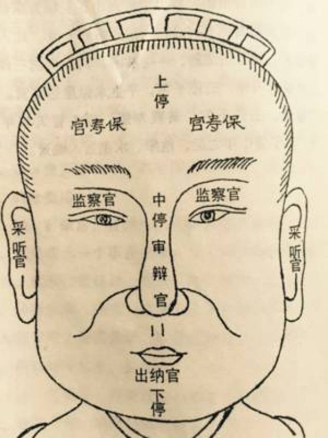你懂面相学么,原来面相学可以这么运用!_搜狐网