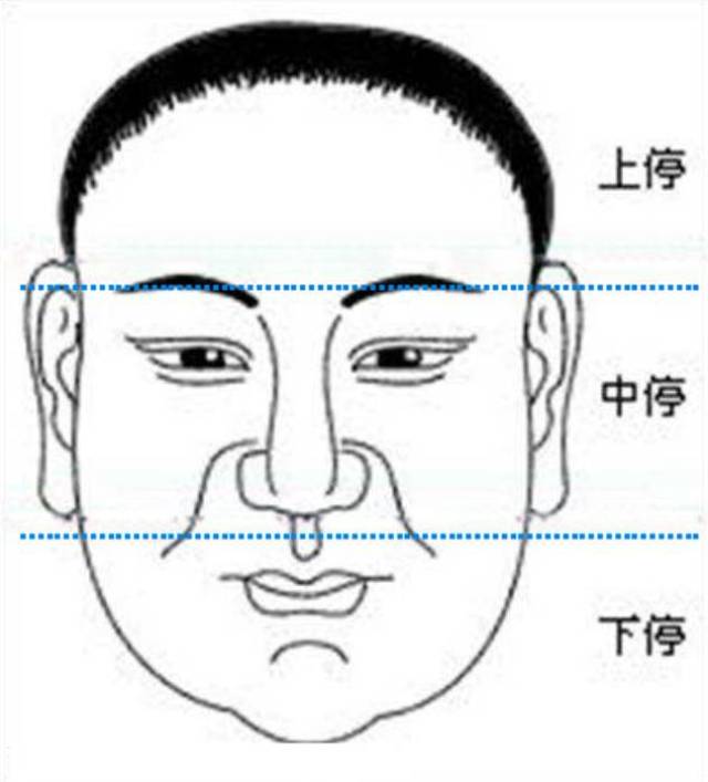 你懂面相学么,原来面相学可以这么运用!_搜狐网