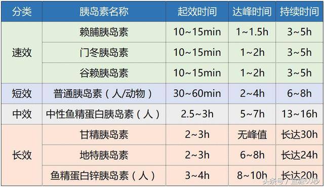 常用胰岛素的作用时间