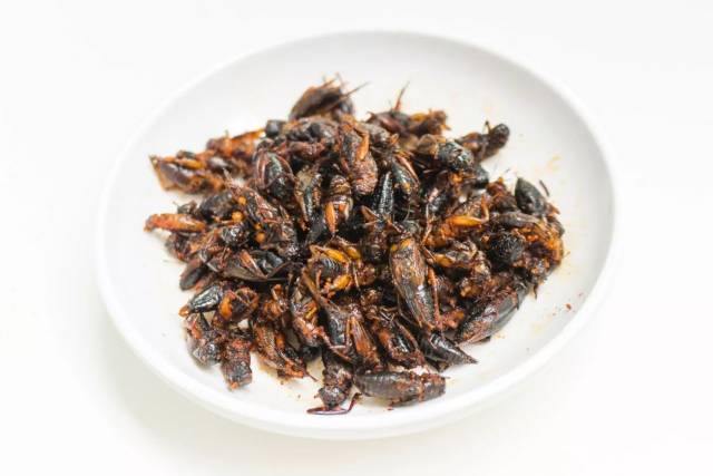 但是蟋蟀你吃过吗?这个网红零食来昆明啦!