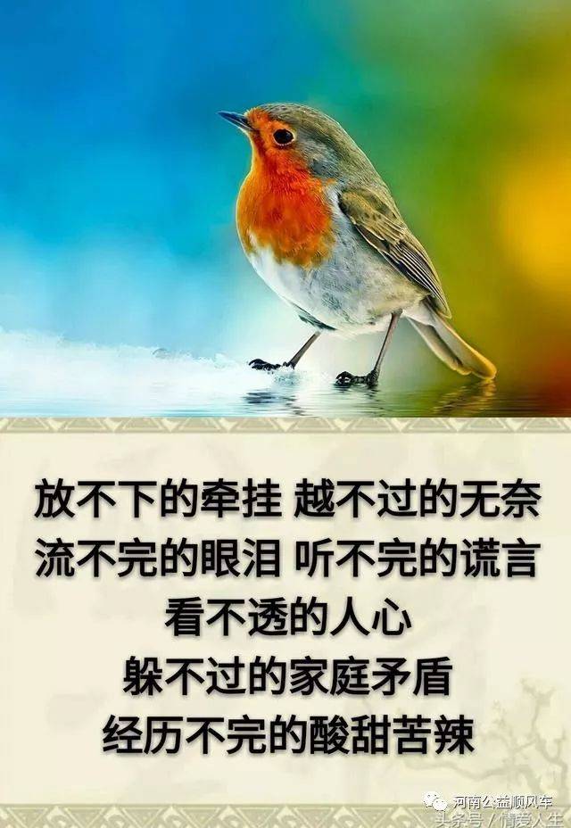 人心图片虚伪 现实图片