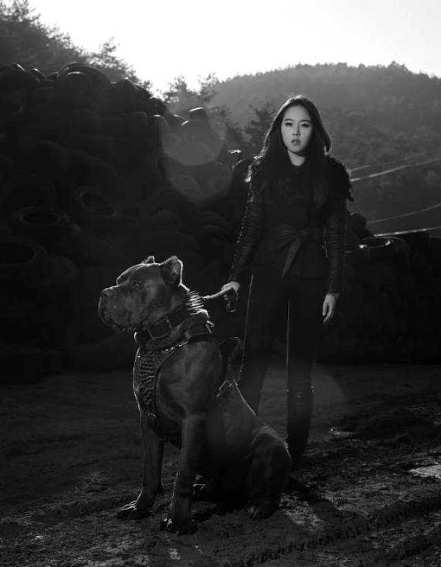 当下最赤手可热的护卫忠犬——卡斯罗