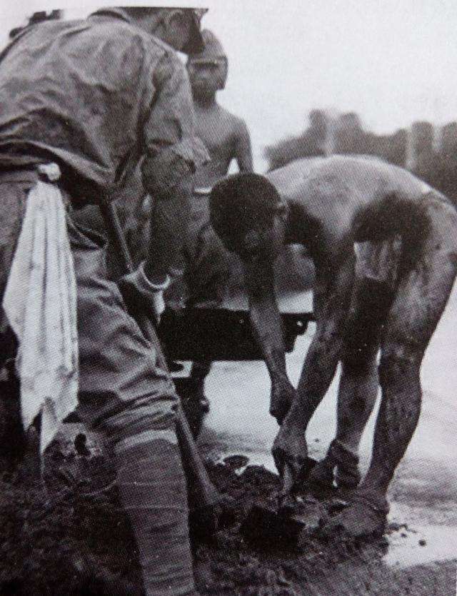 日军战俘西伯利亚劳改图片