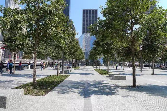 精选70例各式林荫广场!