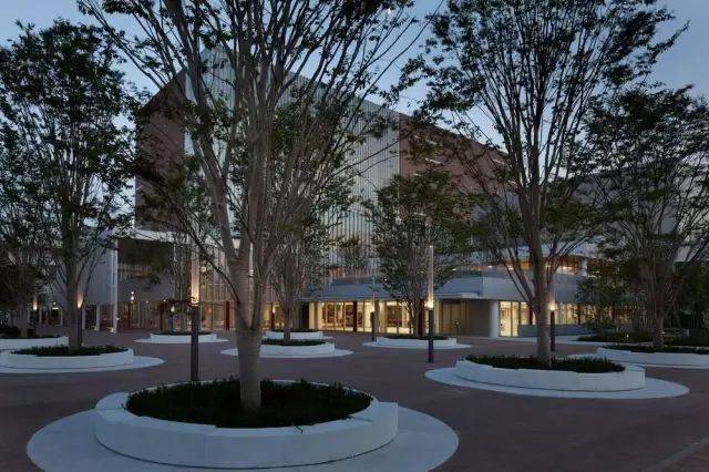 精选70例各式林荫广场!