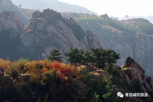 太和村的山景石貌,旅遊景點,神話傳說眾多 登高又可遠眺青島及膠州灣