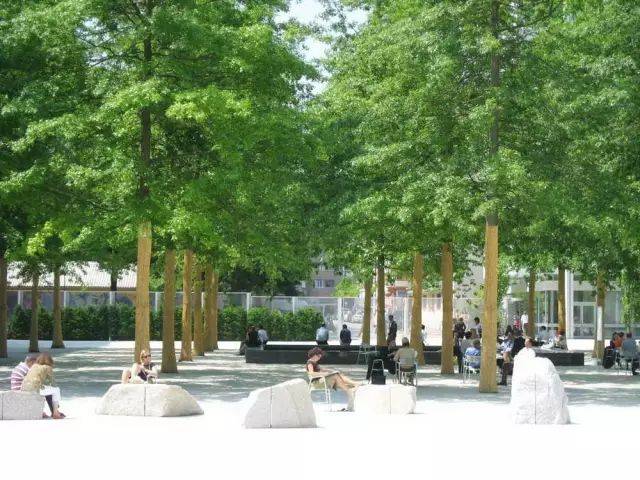 精选70例各式林荫广场!