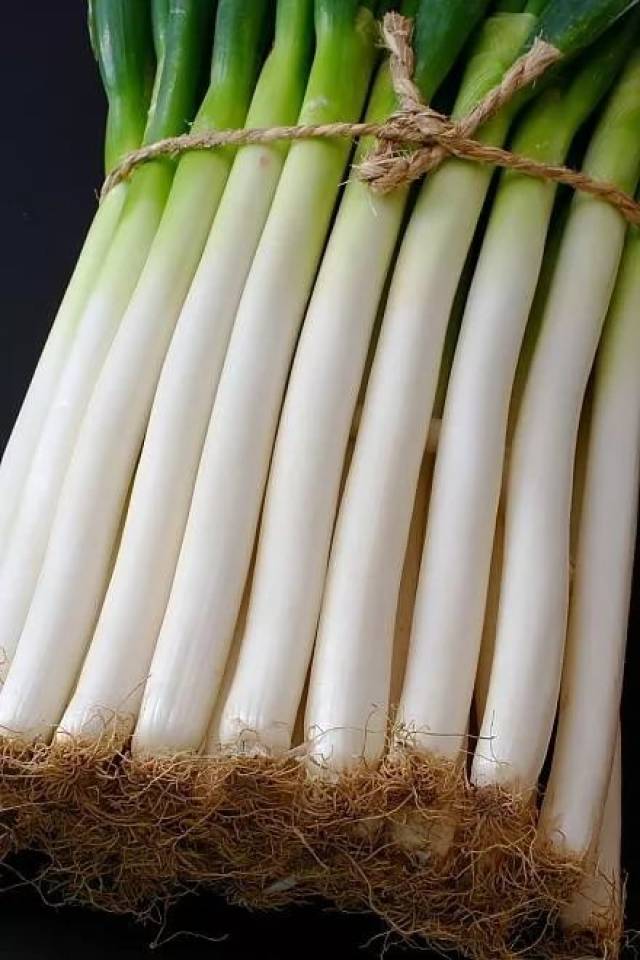 大葱,小葱,白洋葱,红洋葱差别这么大,吃错后悔一辈子