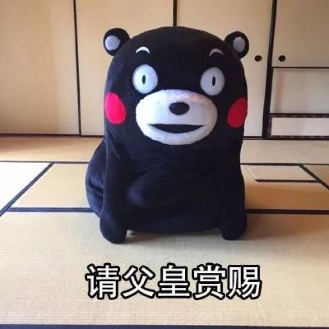 双11要零花钱表情包