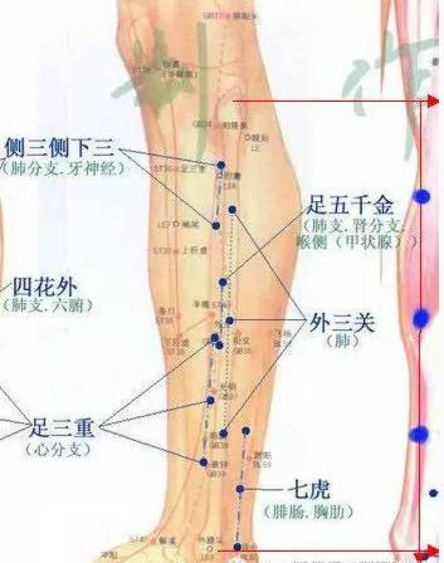 七虎祈福位置图片