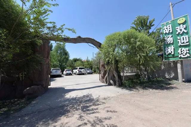 0994-8182555 地址: 昌吉市佃坝镇土梁二区 胡杨树度假村位于昌吉