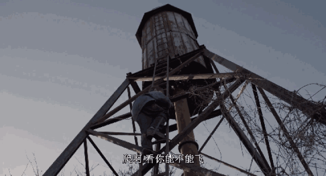 虐童不只是上海,豆瓣8.7分,丹麦版《熔炉》告诉你学校虐童多恐怖