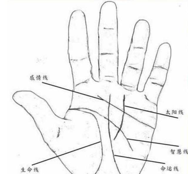 地纹比较短,地纹看根基,地纹弱了初期的学业事业都有影响!