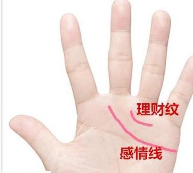 手相有此特征天生自带"守财"功能,不论男女一辈子不缺钱花!