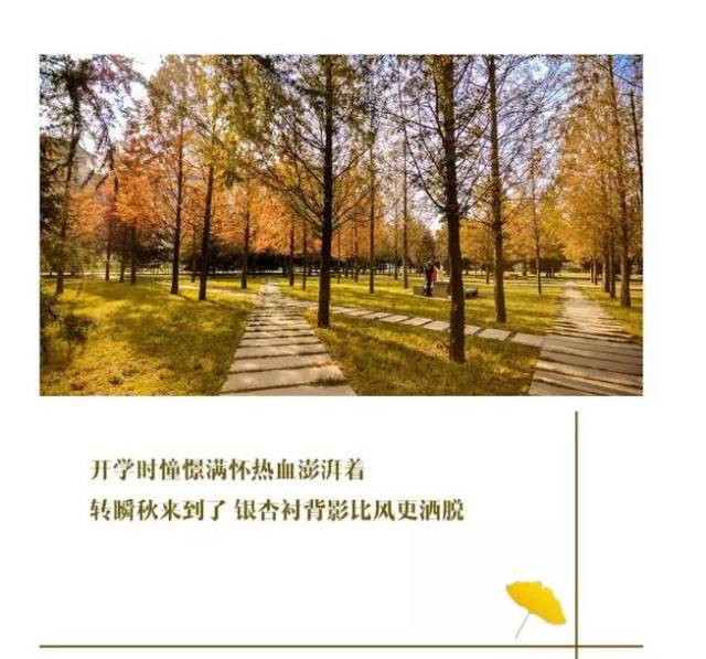 你知道么,超甜网剧《致我们单纯的小美好》主