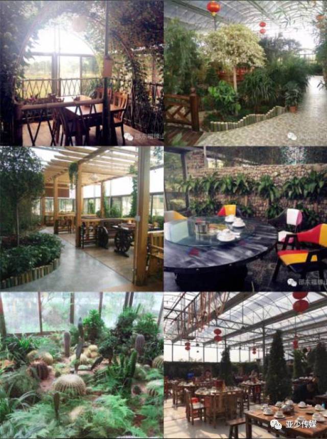 邵东含氧量最高的福缘山庄——特色烤全羊!免费畅饮葡萄美酒!