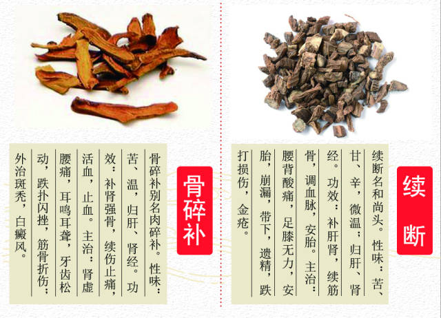 2相似药性简单鉴别1骨碎补:gu sui bu