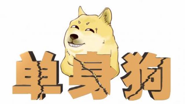 为啥会计行业单身狗最多?最后一个亮了……_手机搜狐网