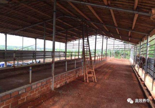 农村养牛简易牛棚搭建图集请点评