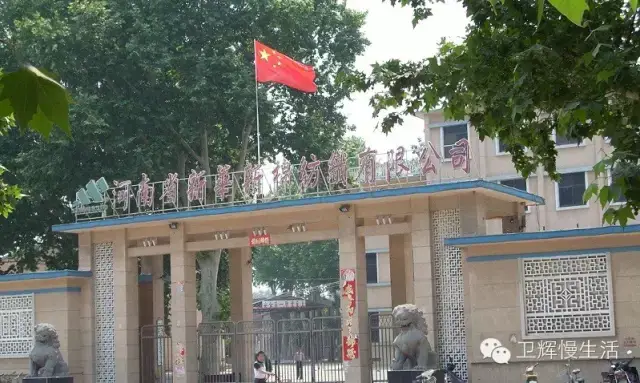 坯布行业的市场动态与发展趋势