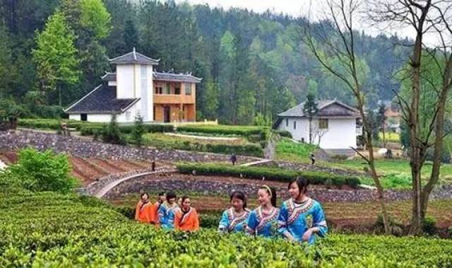 茶店子鎮茶庵寺村 野三關鎮竹園淌村 清