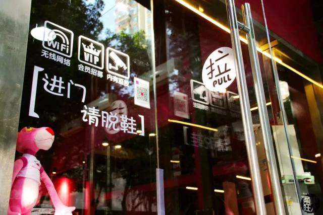 Cat on the mat with BJJ friends