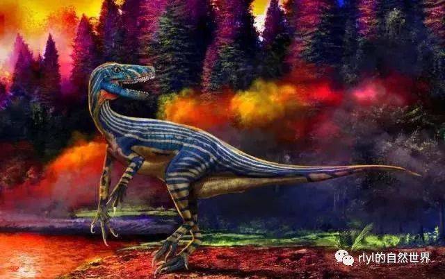 【恐龙探索】天劫混沌--埃雷拉龙!