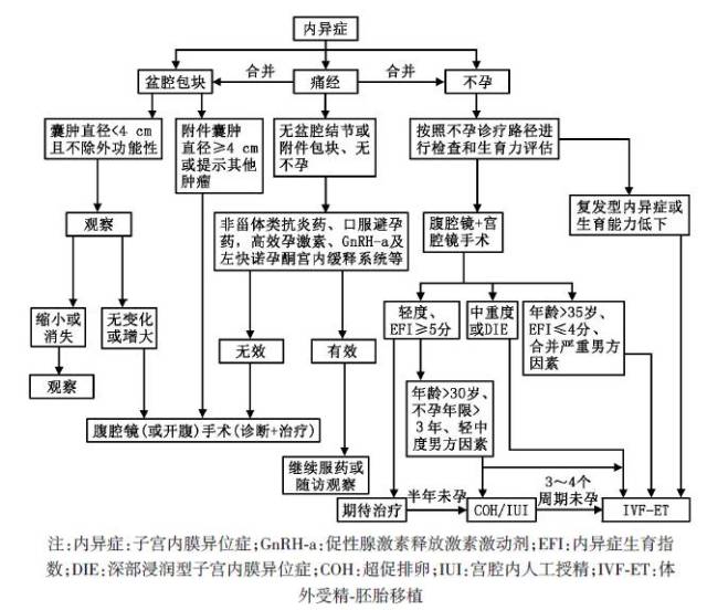 子宫内膜异位症?子宫肌腺症?傻傻分不清楚!