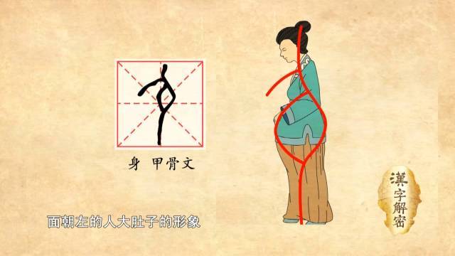 汉字解密|身:有身子了,为什么指的是怀孕呢?_手机搜狐网