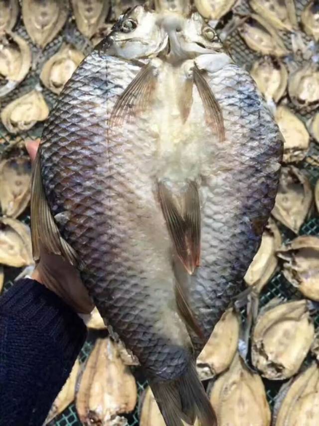 你是否还记得那家乡味道--鲠鱼干