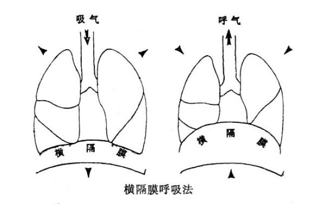 气息对抗原理图图片