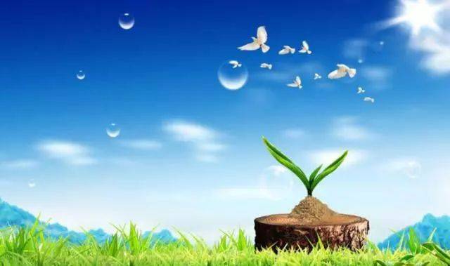 【心理健康】当代大学生心理问题的现状