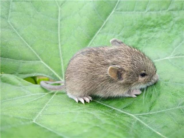 hi,中奖的是你吗?