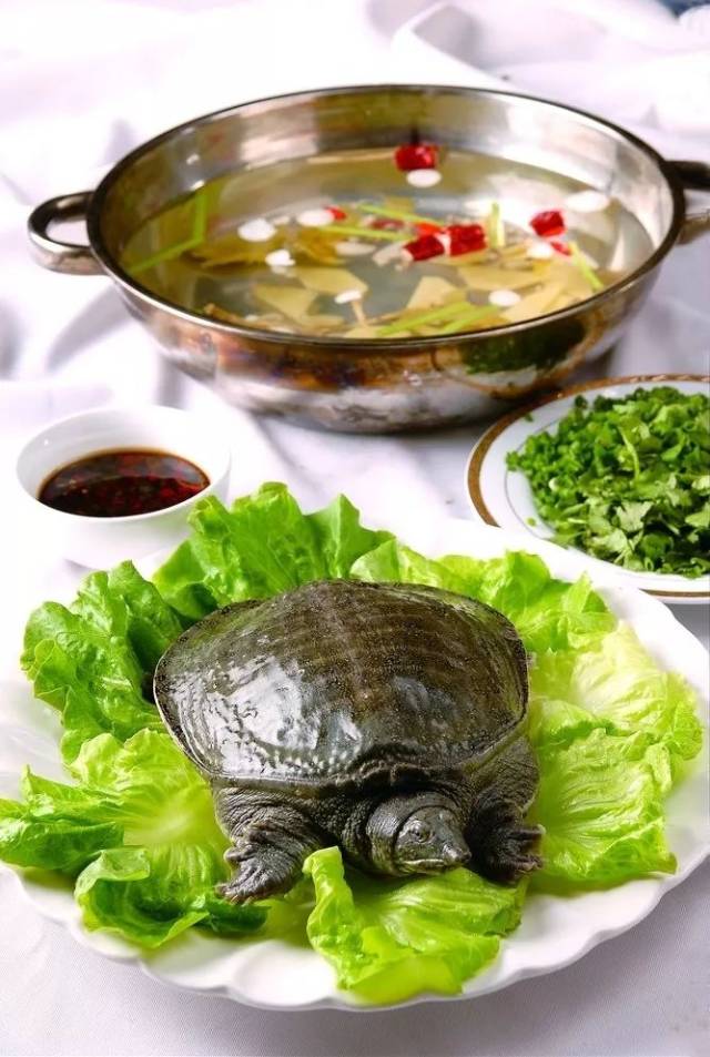 杂粮煮千岛湖清水鳖