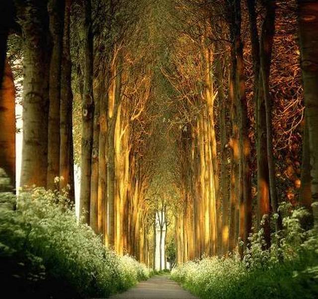 重磅 | 周子湘:《天涯厨王》(下)