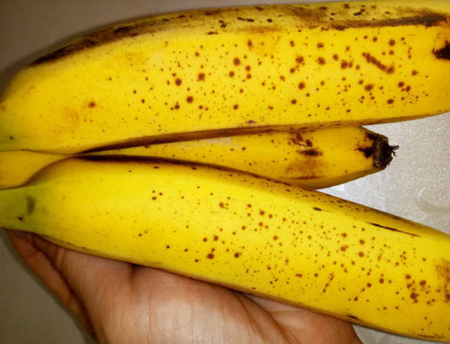 买香蕉,很多人嫌弃果皮有这种黑斑,却不