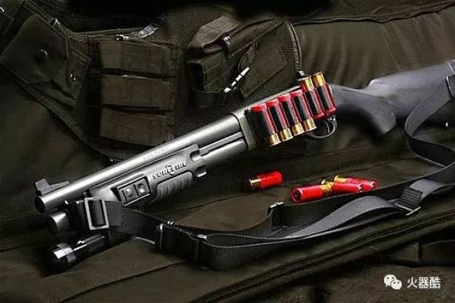 【喷子的艺术】各型霰弹枪海量图集