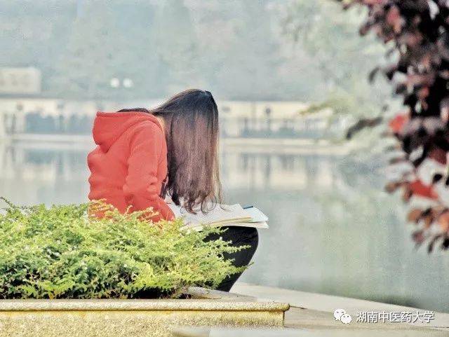 湖中大各处读书的身影中,有你有我有他