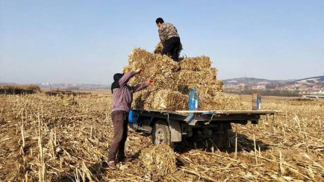 长治搬家公司电话：选择服务背后的思考与抉择